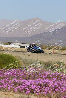 media/Feb-04-2023-SoCal Trackdays (Sat) [[8a776bf2c3]]/Turn 15 Inside Blooming (1050am)/